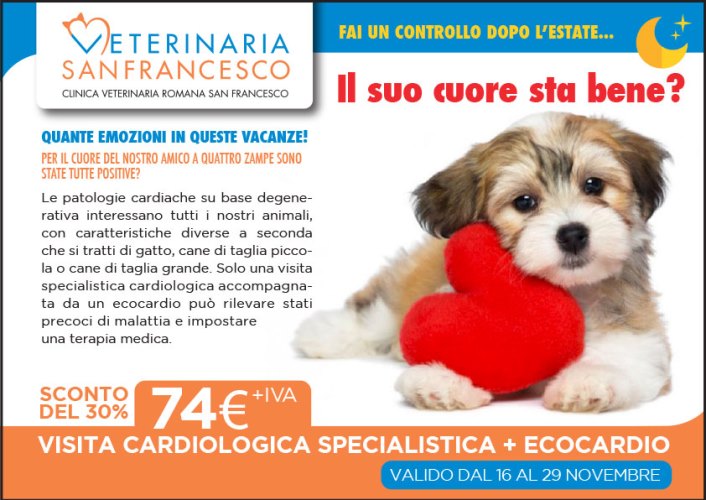 il suo cuore sta bene voucher