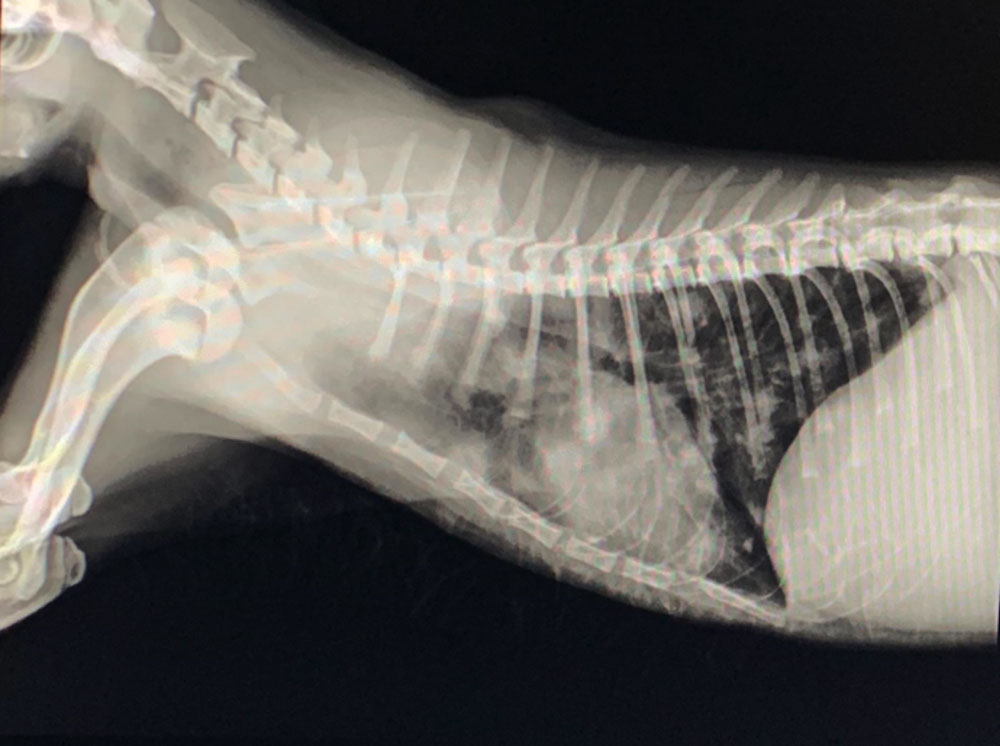 servizi-La TAC – Diagnostica radiologica 1