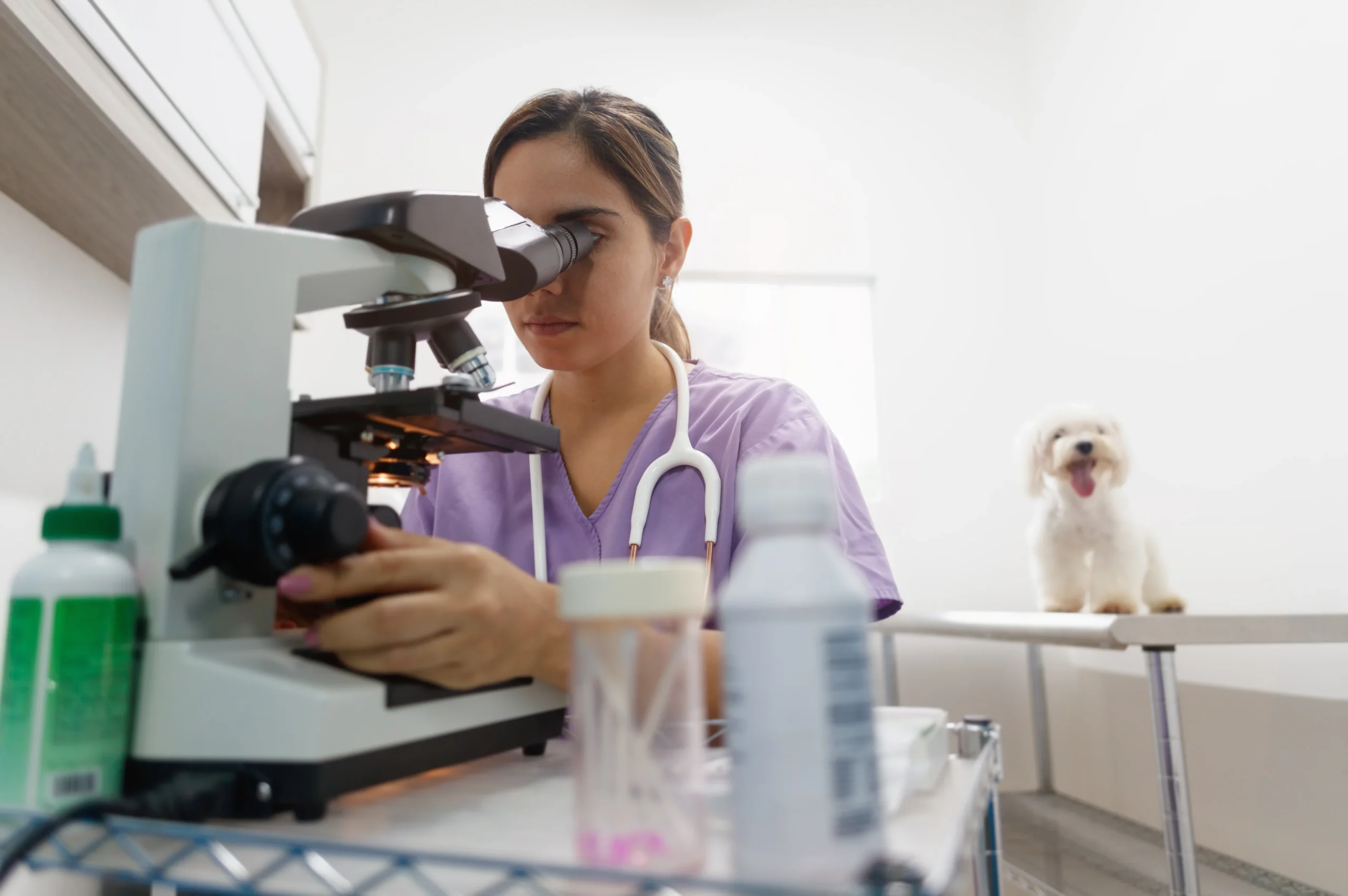 clinic-staff-with-woman-working-as-veterinary-in-p-2026-03-17-00-48-42-utc